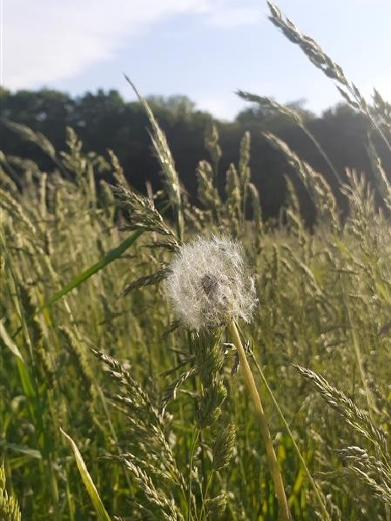 Hrubieszów: Uczniowie ZS nr 1 dostrzegli piękno świata - ZDJĘCIA
