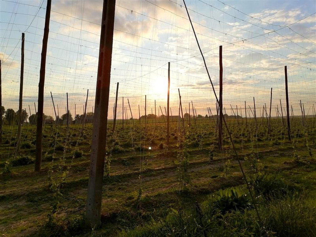 Hrubieszów: Uczniowie ZS nr 1 dostrzegli piękno świata - ZDJĘCIA