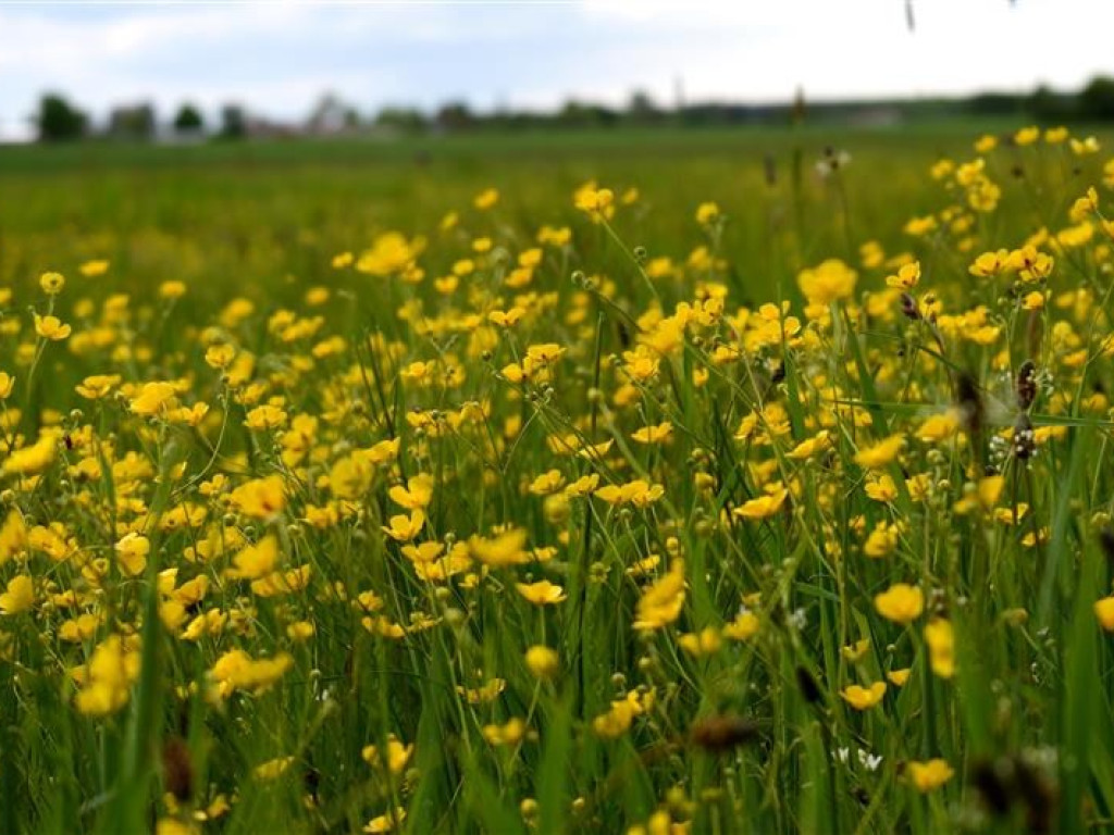 Hrubieszów: Uczniowie ZS nr 1 dostrzegli piękno świata - ZDJĘCIA