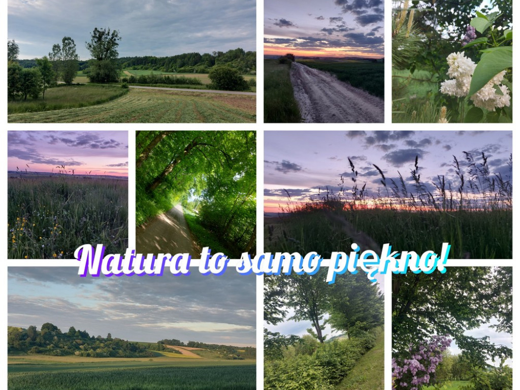 Hrubieszów: Uczniowie ZS nr 1 dostrzegli piękno świata - ZDJĘCIA