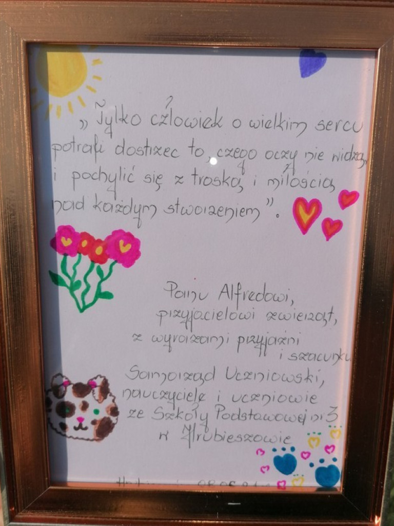 Pełna miska dla zwierzaka ze schroniska - Trójka dla Reksia i przyjaciół - ZDJĘCIA
