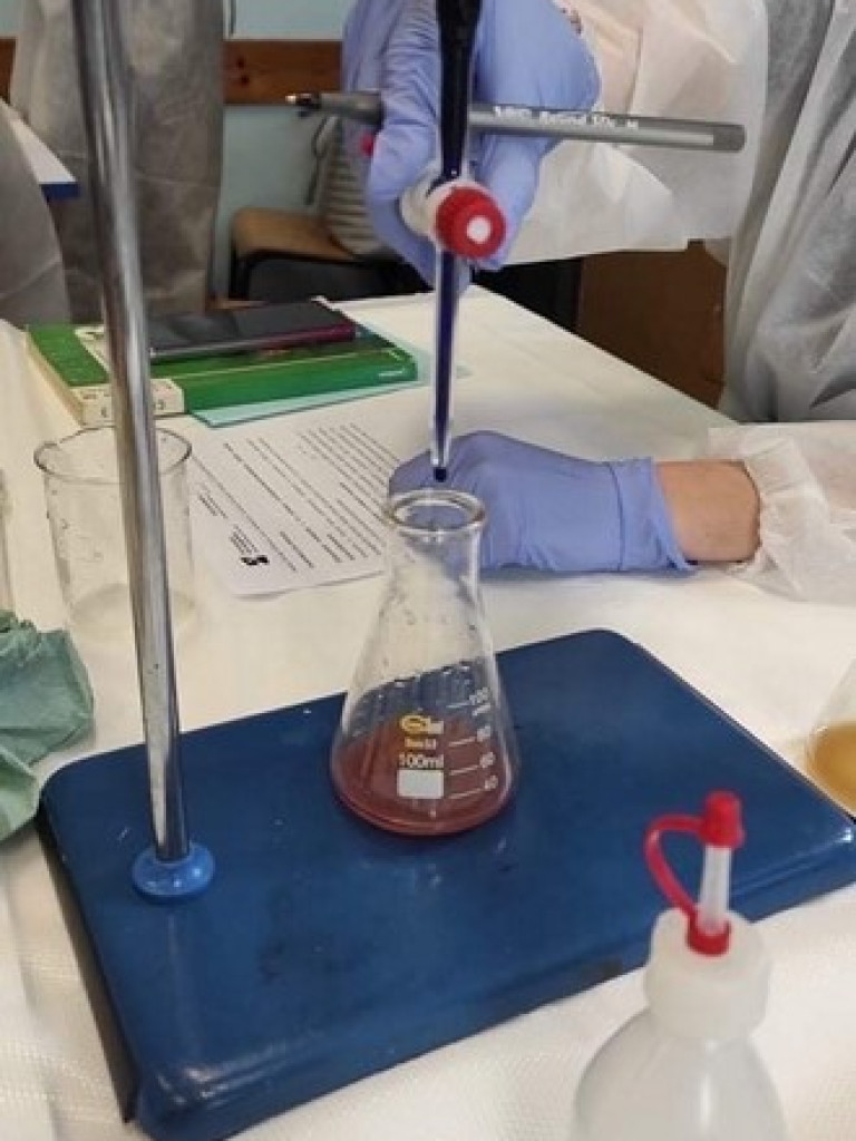 Staszic: Zajęcia laboratoryjne z chemii z wykładowcami Uniwersytetu Przyrodniczego z Lublina - ZDJĘCIA