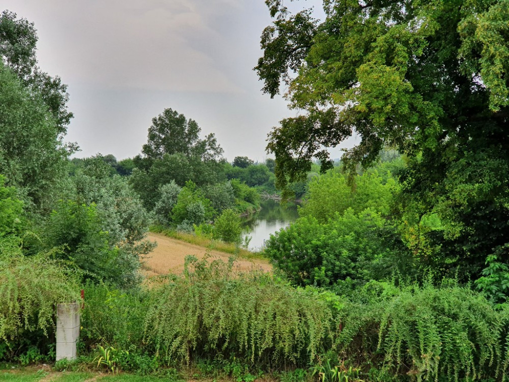 Hrubieszów uczcił Święto Narodowe Francji - ZDJĘCIA
