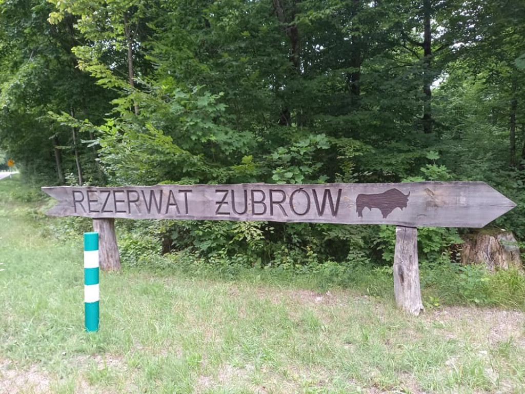 Hrubieszów: Rowerem na Podlasie dla Filipka - ZDJĘCIA