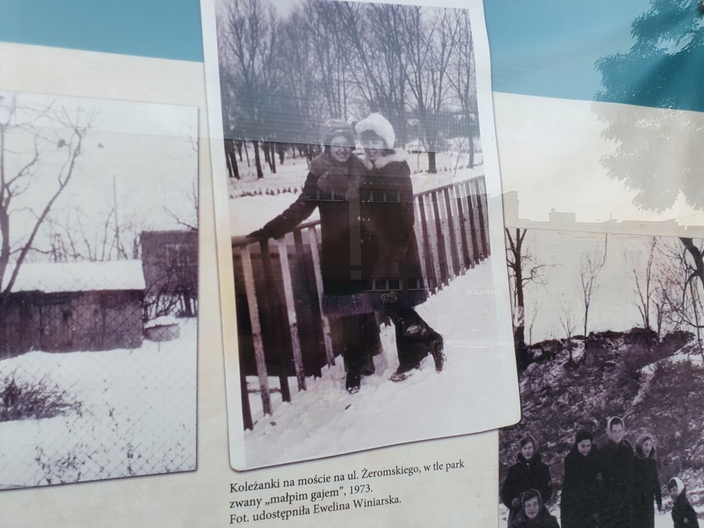 Hrubieszowskie pory roku na Rynku - ZDJĘCIA