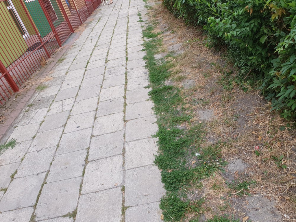 Hrubieszów: Niekończąca się historia chodnika na ul. Polnej - ZDJĘCIA