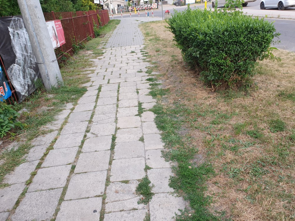 Hrubieszów: Niekończąca się historia chodnika na ul. Polnej - ZDJĘCIA