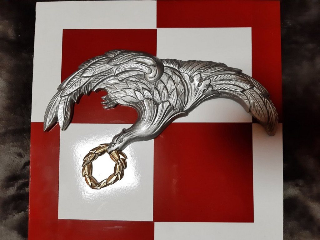 Hrubieszów dla Szymona! Pomóżmy Szymonowi stanąć na nogi! - ZDJĘCIA, WIDEO