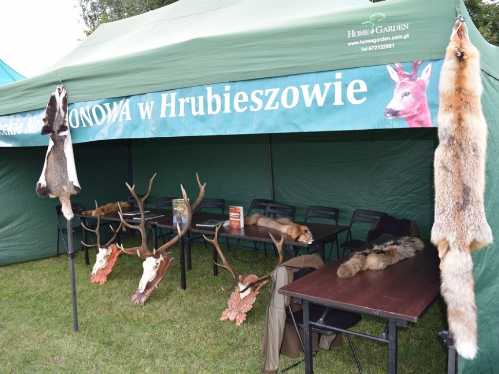 W krainie żołny - w pogoni za tradycją łowiecką - ZDJĘCIA