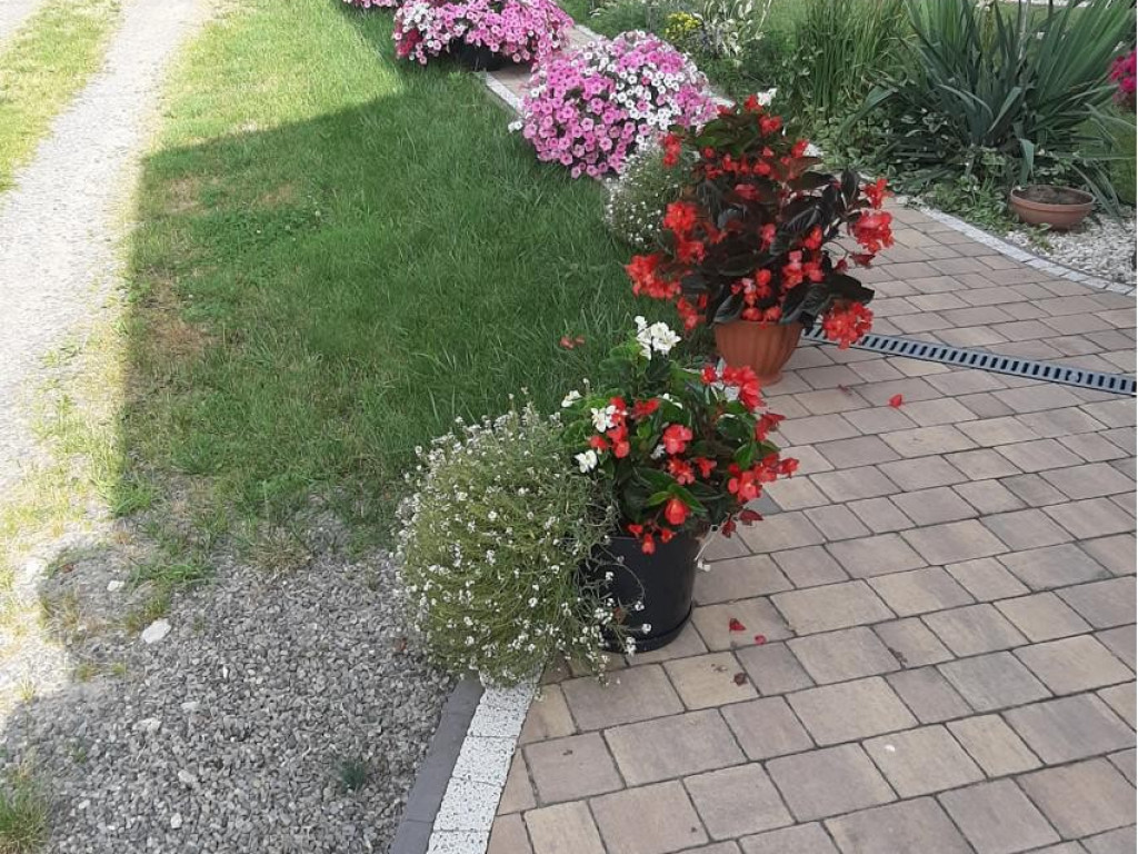 Hrubieszów: Wyniki konkursu na najpiękniejsze posesje i balkony - ZDJĘCIA