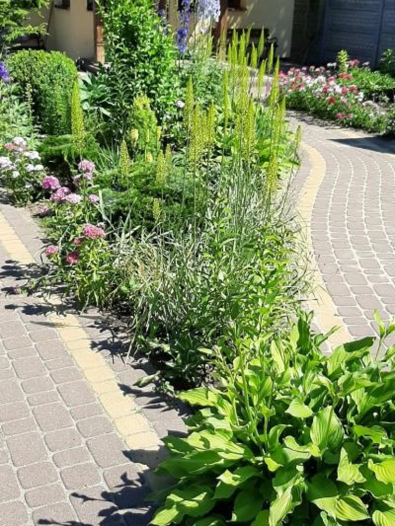 Hrubieszów: Wyniki konkursu na najpiękniejsze posesje i balkony - ZDJĘCIA
