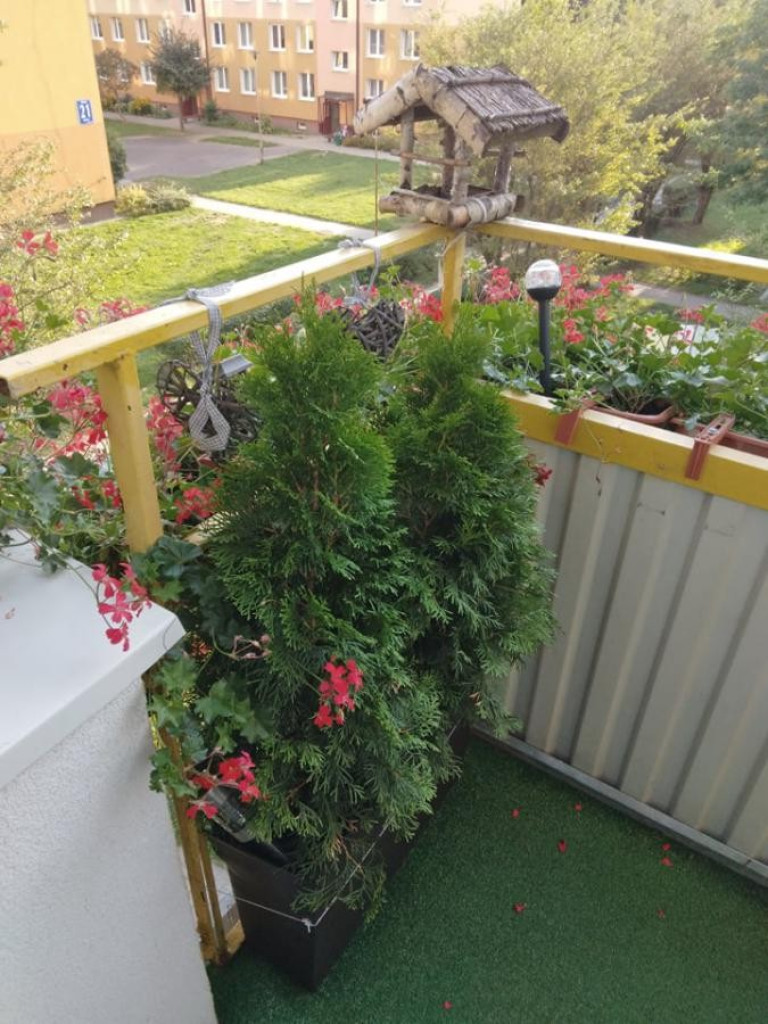 Hrubieszów: Wyniki konkursu na najpiękniejsze posesje i balkony - ZDJĘCIA