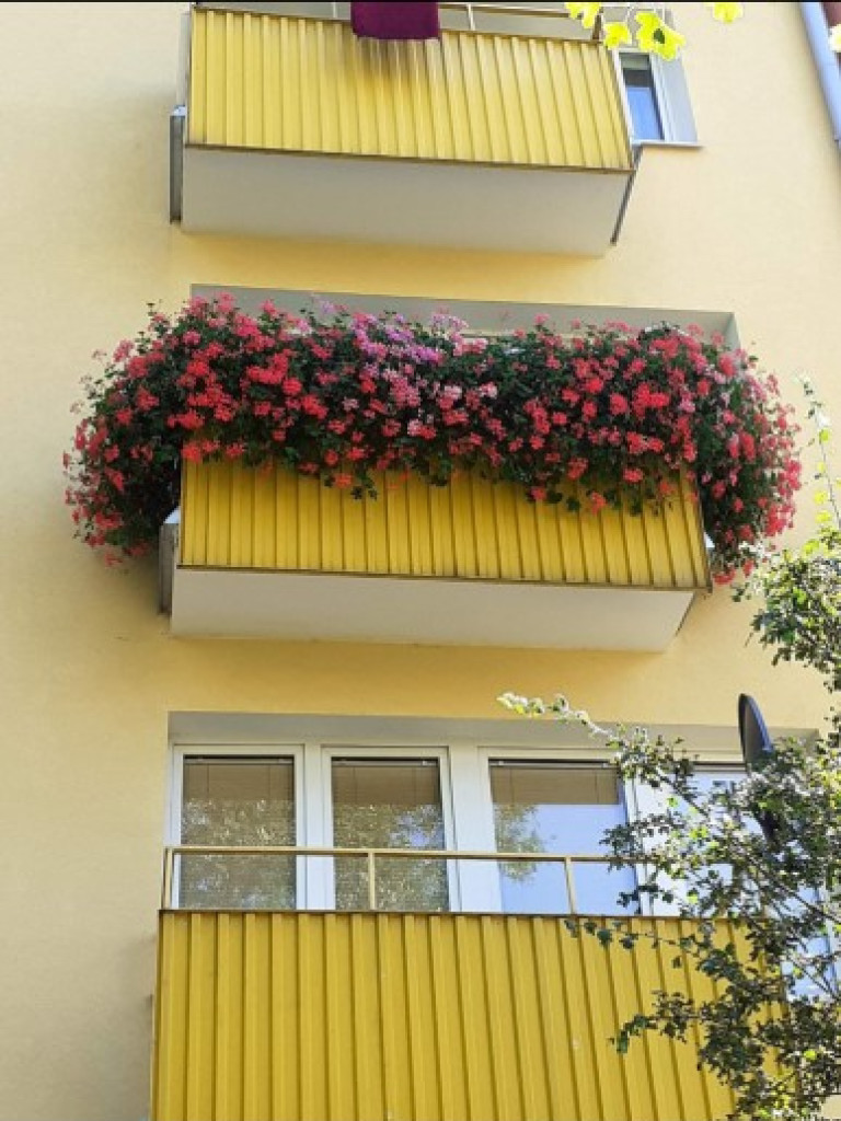 Hrubieszów: Wyniki konkursu na najpiękniejsze posesje i balkony - ZDJĘCIA