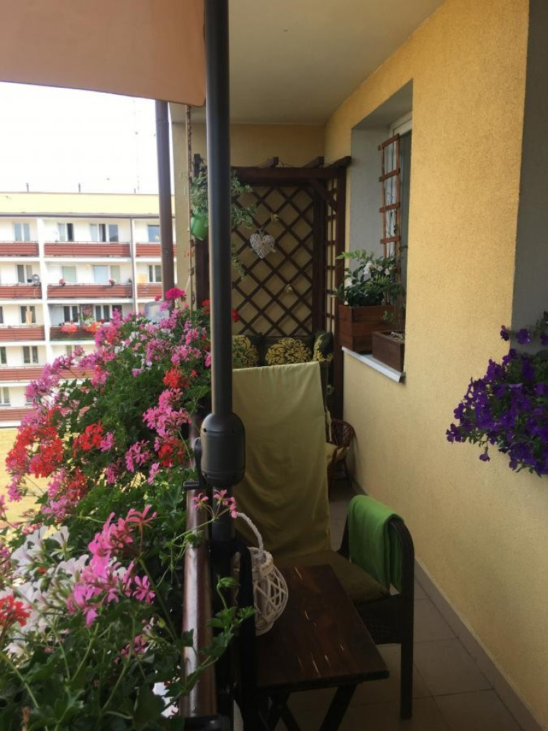 Hrubieszów: Wyniki konkursu na najpiękniejsze posesje i balkony - ZDJĘCIA