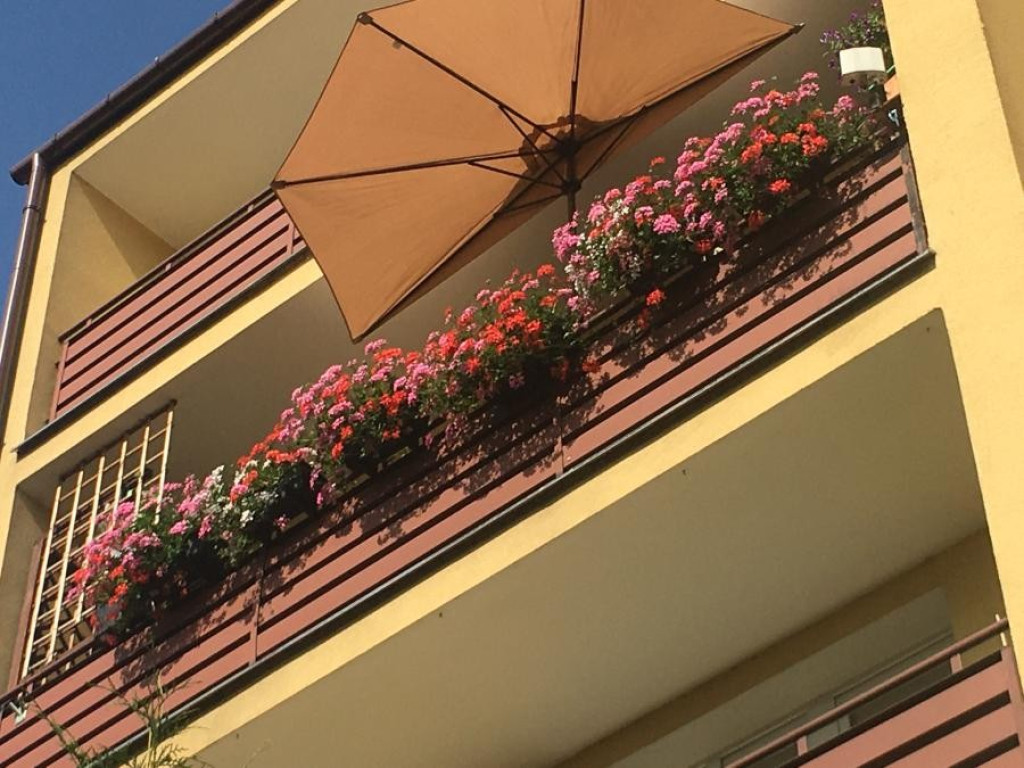 Hrubieszów: Wyniki konkursu na najpiękniejsze posesje i balkony - ZDJĘCIA