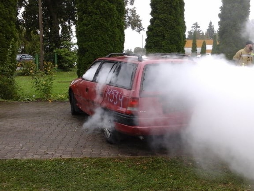 Pokazy Straży Pożarnej na charytatywnym pikniku w Czerniczynie - ZDJĘCIA