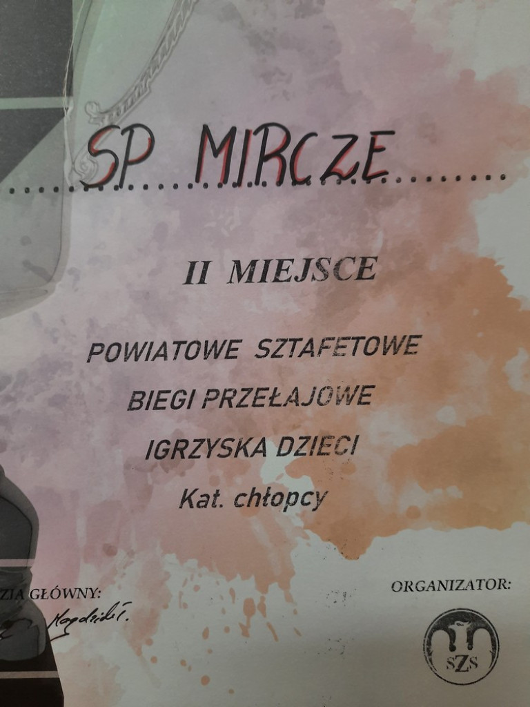 Sukces PSP w Mirczu w biegach. Wszystkie drużyny awansowały do zawodów rejonowych - ZDJĘCIA