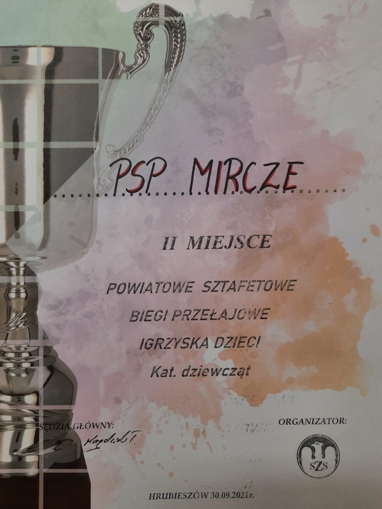 Sukces PSP w Mirczu w biegach. Wszystkie drużyny awansowały do zawodów rejonowych - ZDJĘCIA