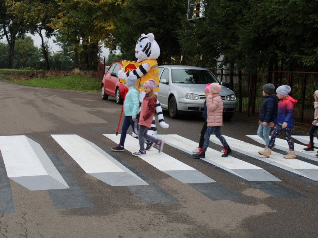 Pierwsze w gminie Hrubieszów przejście dla pieszych 3D - ZDJĘCIA