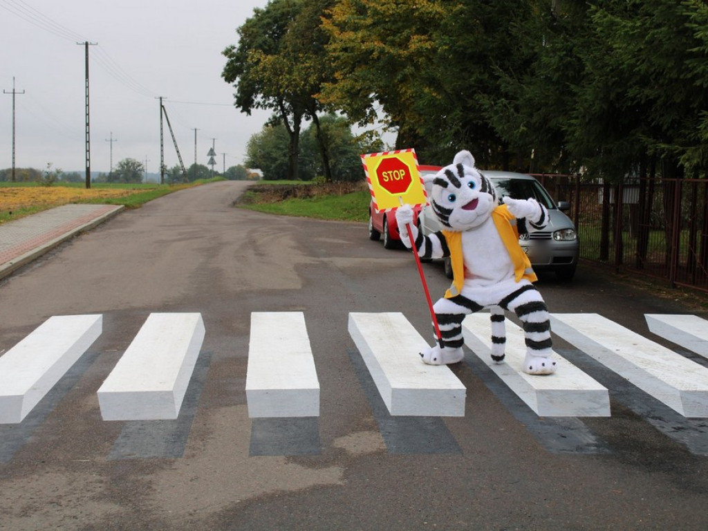 Pierwsze w gminie Hrubieszów przejście dla pieszych 3D - ZDJĘCIA