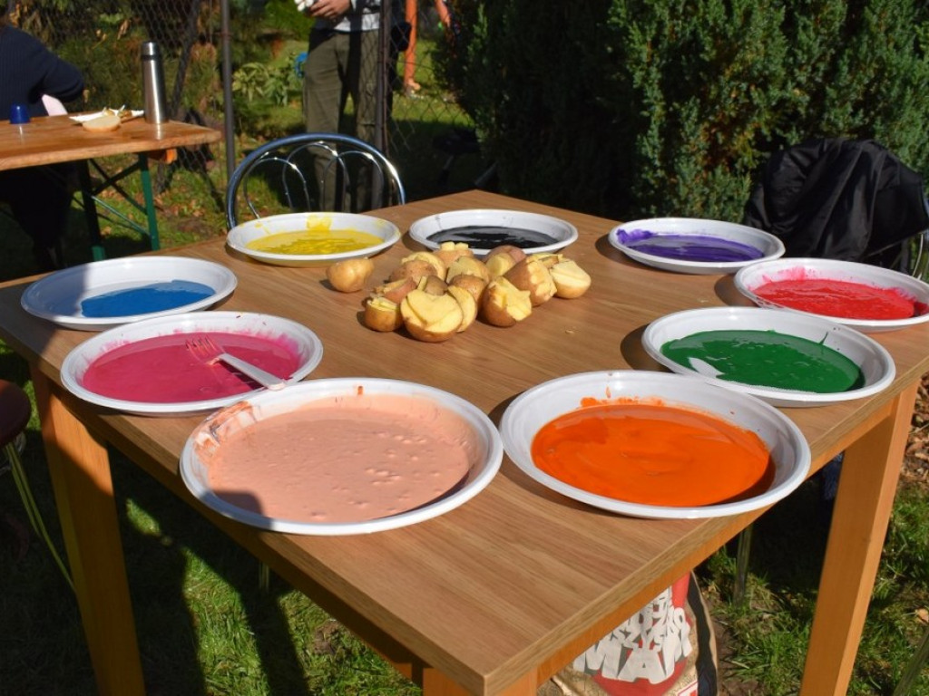 Święto Pieczonego Ziemniaka w Moniatyczach - ZDJĘCIA