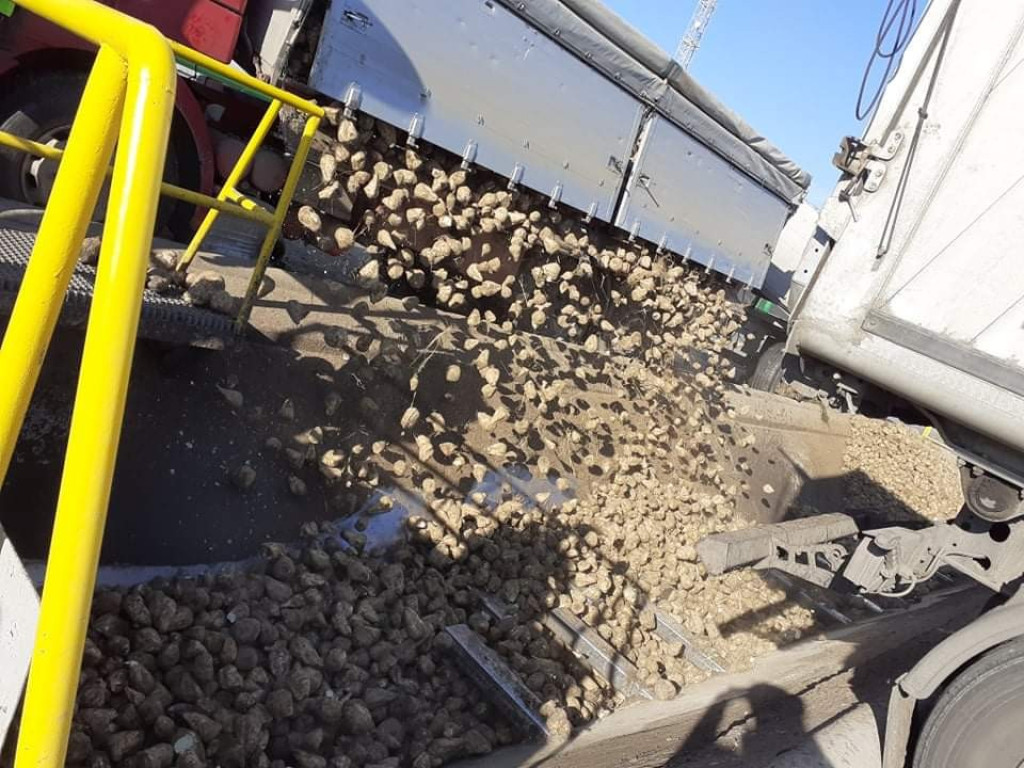 Z wizytą w Cukrowni Werbkowice (ZDJĘCIA)