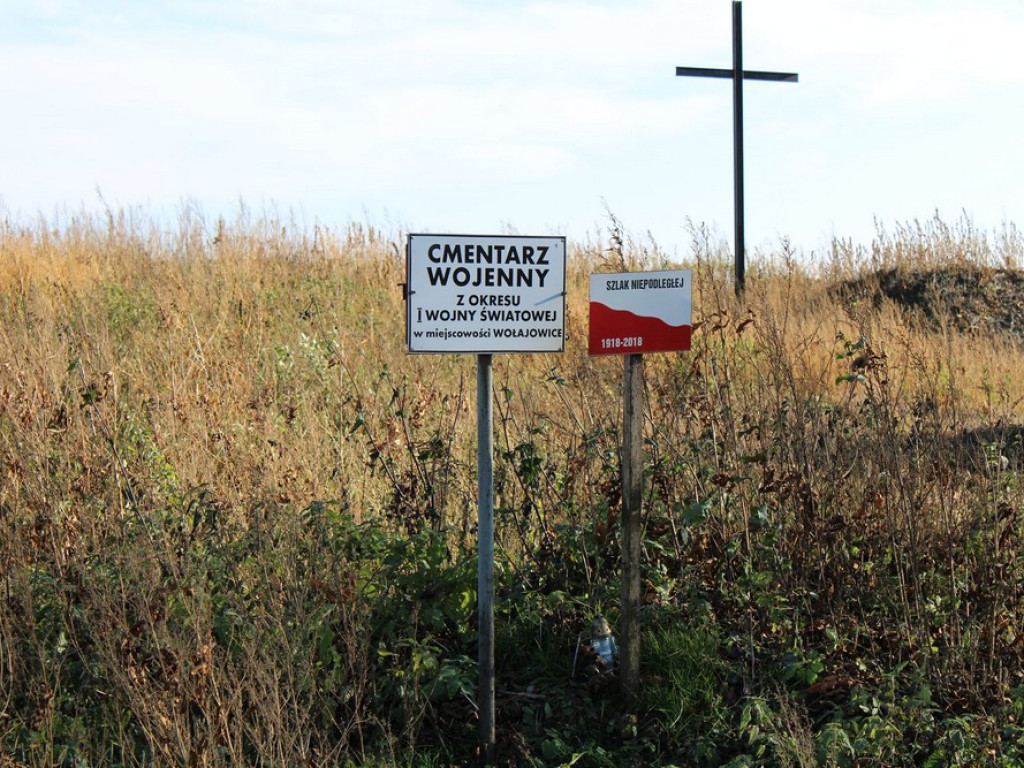 Gmina Hrubieszów: Szlakiem Niepodległej (ZDJĘCIA)