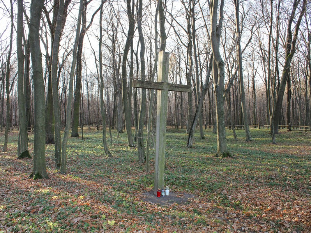 Gmina Hrubieszów: Szlakiem Niepodległej (ZDJĘCIA)