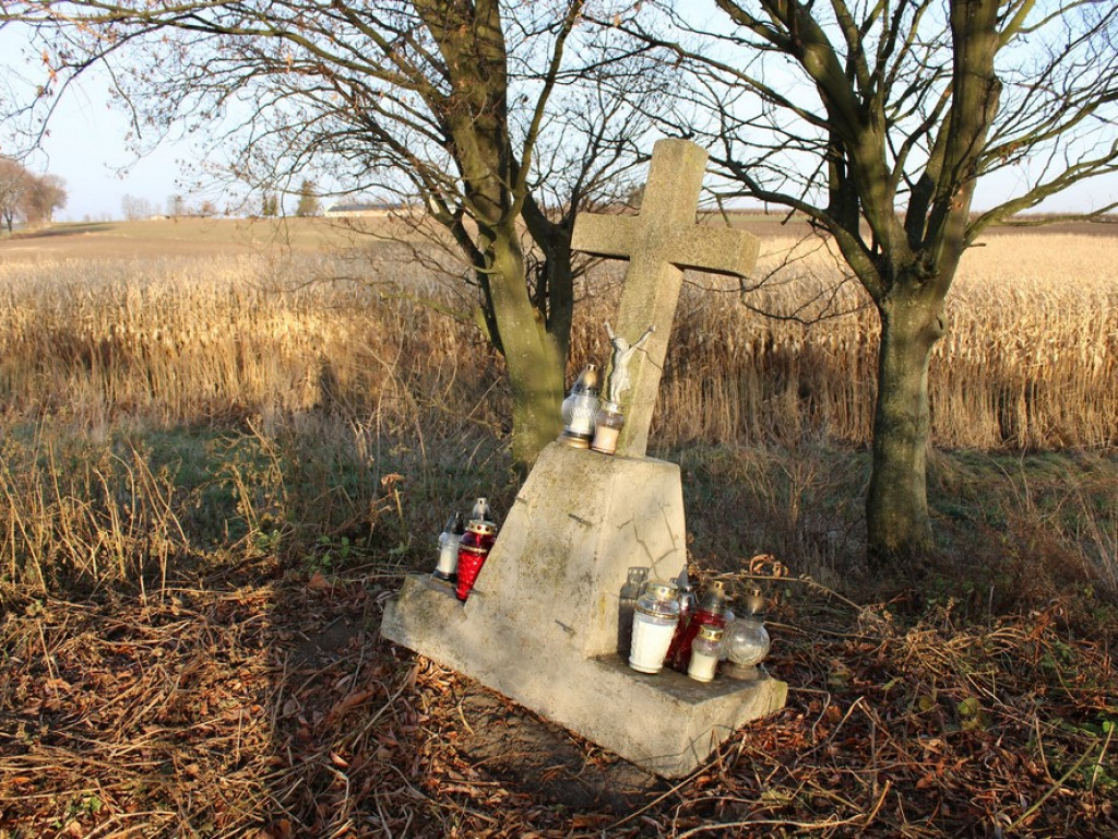 Gmina Hrubieszów: Szlakiem Niepodległej (ZDJĘCIA)