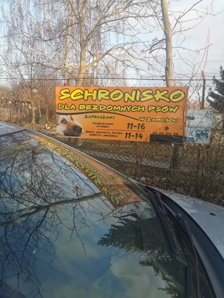 Pełna miska dla schroniska od hrubieszowskiej Dwójki (ZDJĘCIA)