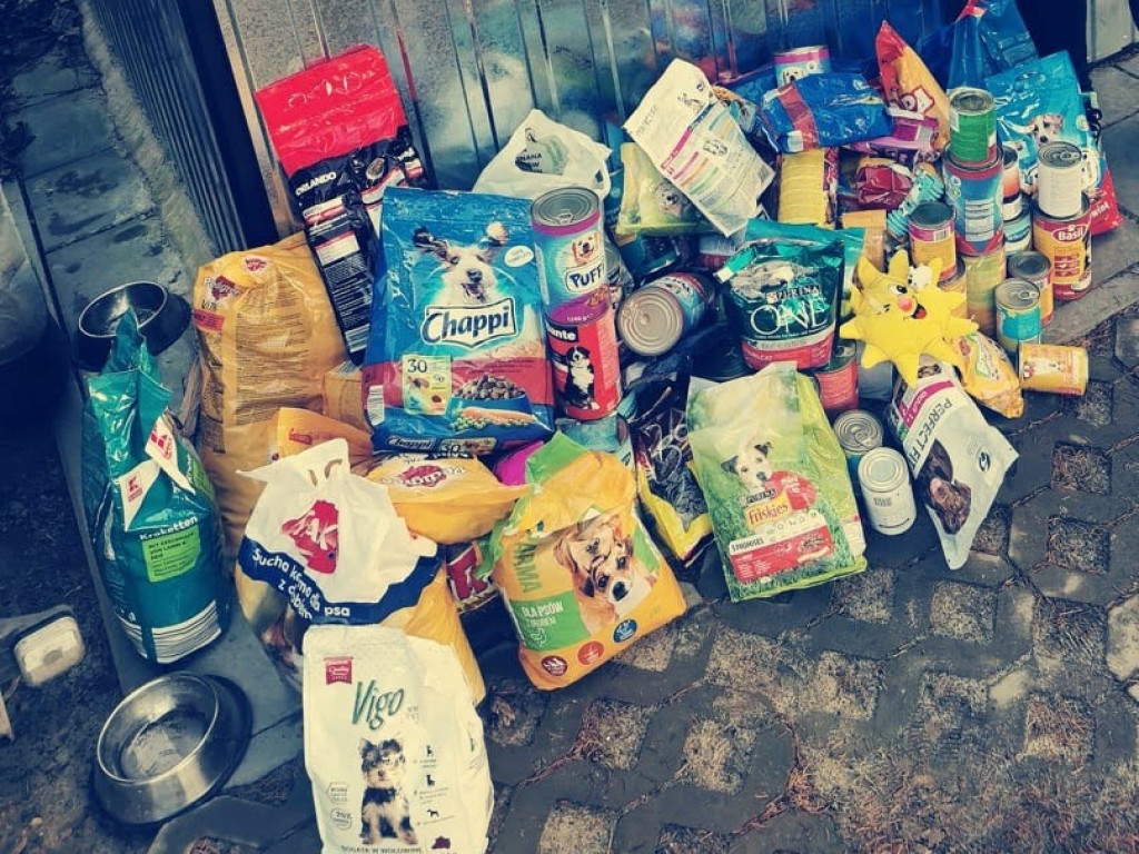 Pełna miska dla schroniska od hrubieszowskiej Dwójki (ZDJĘCIA)