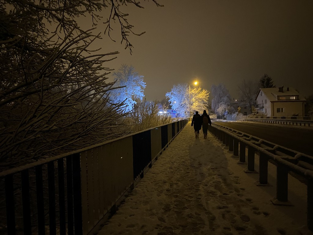 Zimowy spacer po Hrubieszowie - fotoreportaż