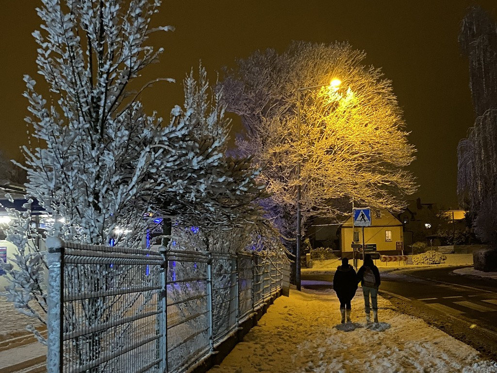 Zimowy spacer po Hrubieszowie - fotoreportaż