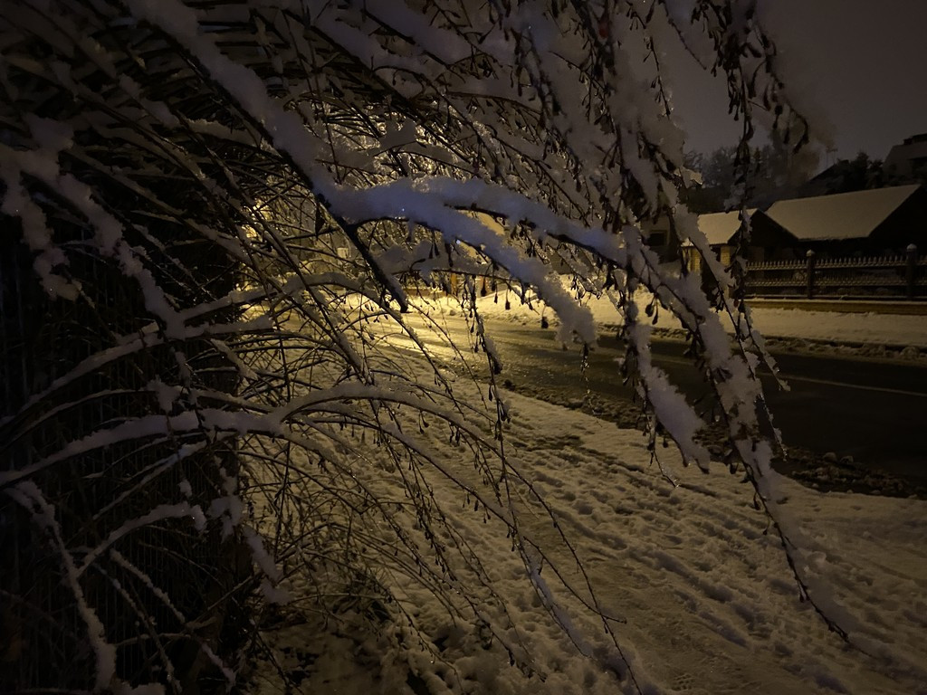 Zimowy spacer po Hrubieszowie - fotoreportaż