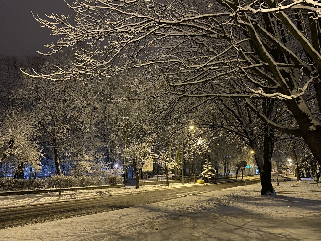 Zimowy spacer po Hrubieszowie - fotoreportaż