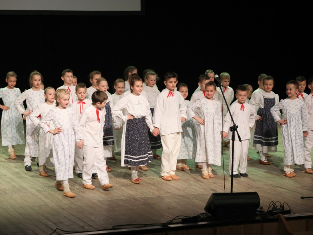 Świąteczny koncert Zespołu Pieśni i Tańca Ziemi Hrubieszowskiej (ZDJĘCIA)