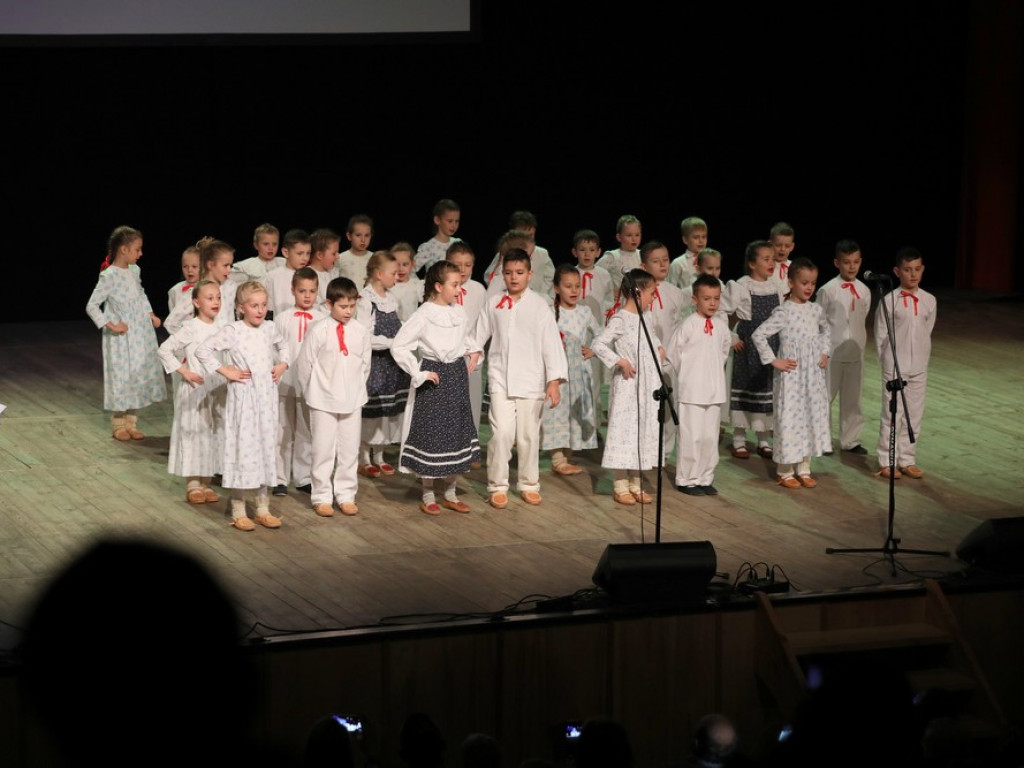 Świąteczny koncert Zespołu Pieśni i Tańca Ziemi Hrubieszowskiej (ZDJĘCIA)