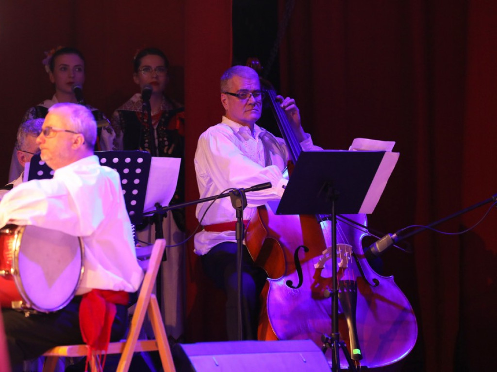 Świąteczny koncert Zespołu Pieśni i Tańca Ziemi Hrubieszowskiej (ZDJĘCIA)