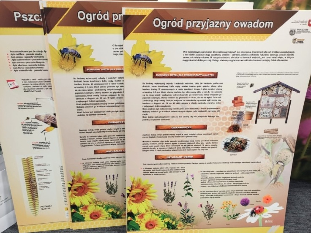 O pszczołach wiedzą najwięcej! Nagrody dla hrubieszowskiej Trójki i jej uczniów (ZDJĘCIA)