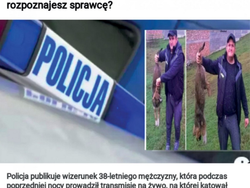 Uwaga na oszustów internetowych! Top 5 najczęstszych technik phishingowych
