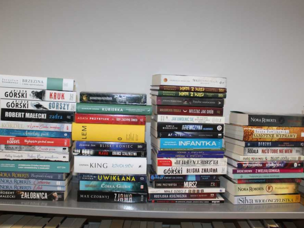 Werbkowice: Nowe książki w bibliotece (ZDJĘCIA)