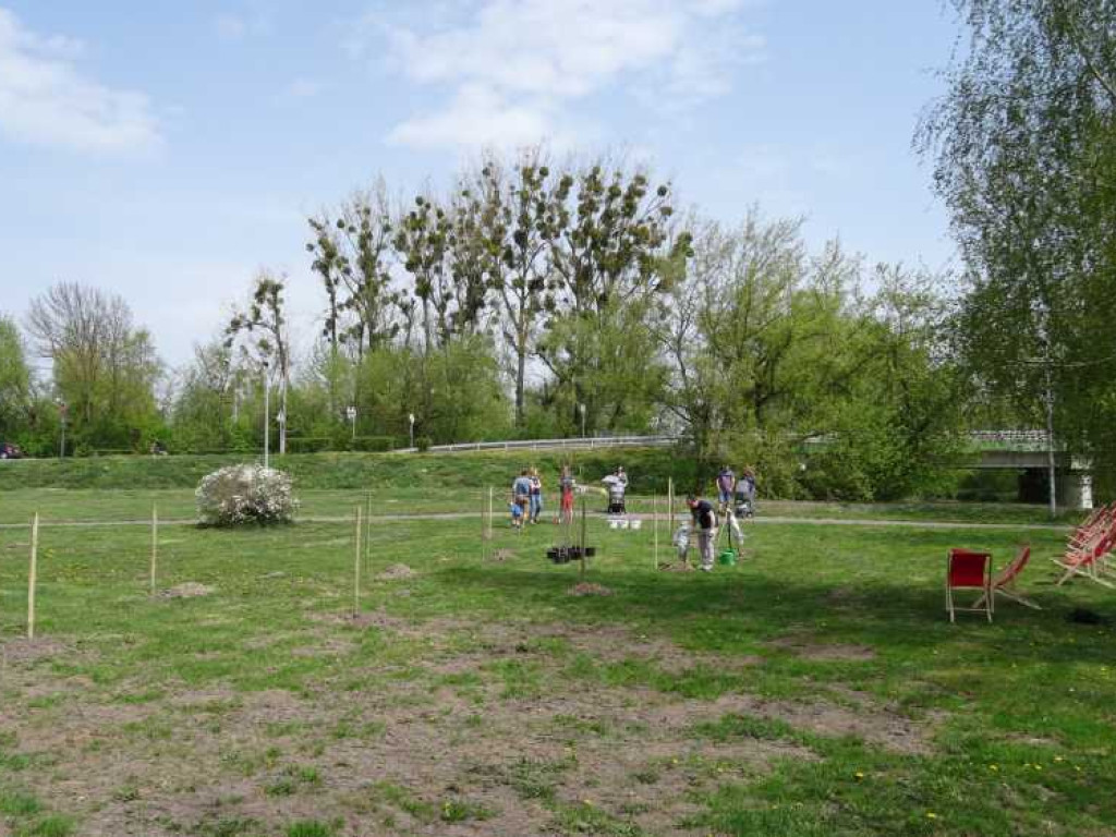 Wrastaj w Hrubieszów - rusza kolejna edycja akcji sadzenia drzewek dla dzieci (ZDJECIA)