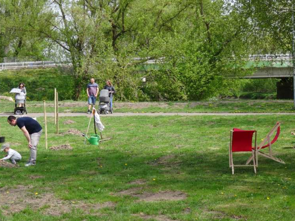 Wrastaj w Hrubieszów - rusza kolejna edycja akcji sadzenia drzewek dla dzieci (ZDJECIA)