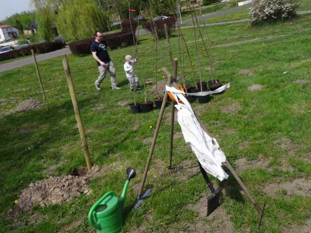 Wrastaj w Hrubieszów - rusza kolejna edycja akcji sadzenia drzewek dla dzieci (ZDJECIA)