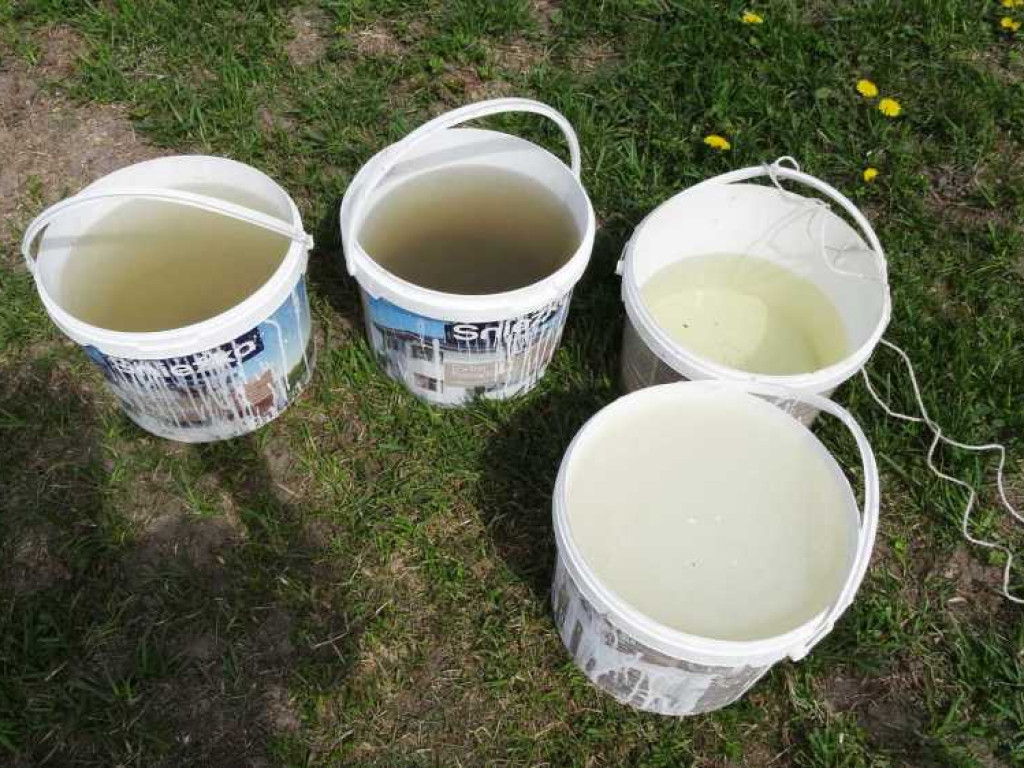 Wrastaj w Hrubieszów - rusza kolejna edycja akcji sadzenia drzewek dla dzieci (ZDJECIA)