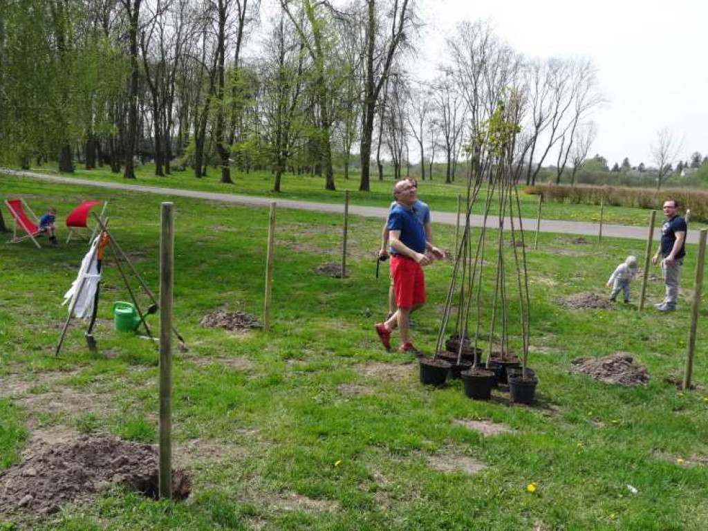 Wrastaj w Hrubieszów - rusza kolejna edycja akcji sadzenia drzewek dla dzieci (ZDJECIA)