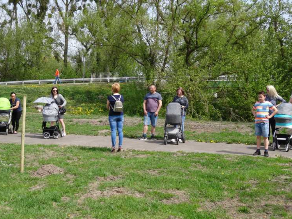 Wrastaj w Hrubieszów - rusza kolejna edycja akcji sadzenia drzewek dla dzieci (ZDJECIA)