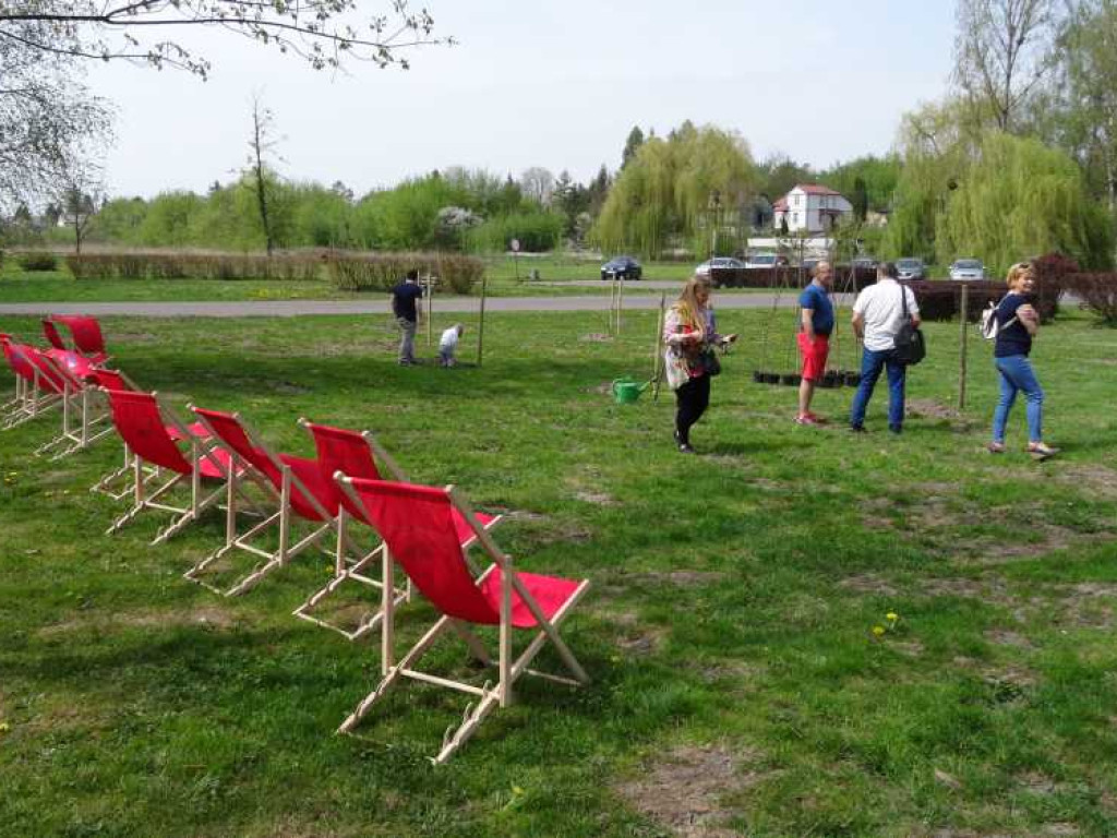 Wrastaj w Hrubieszów - rusza kolejna edycja akcji sadzenia drzewek dla dzieci (ZDJECIA)