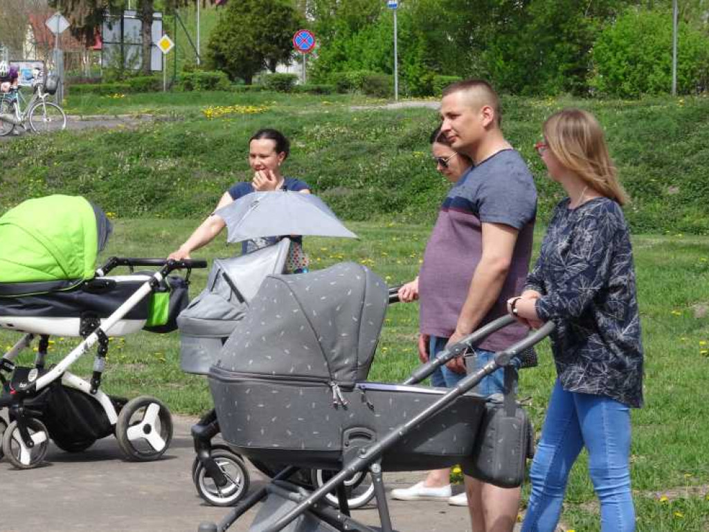 Wrastaj w Hrubieszów - rusza kolejna edycja akcji sadzenia drzewek dla dzieci (ZDJECIA)