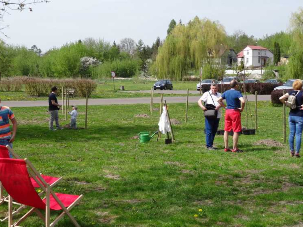 Wrastaj w Hrubieszów - rusza kolejna edycja akcji sadzenia drzewek dla dzieci (ZDJECIA)